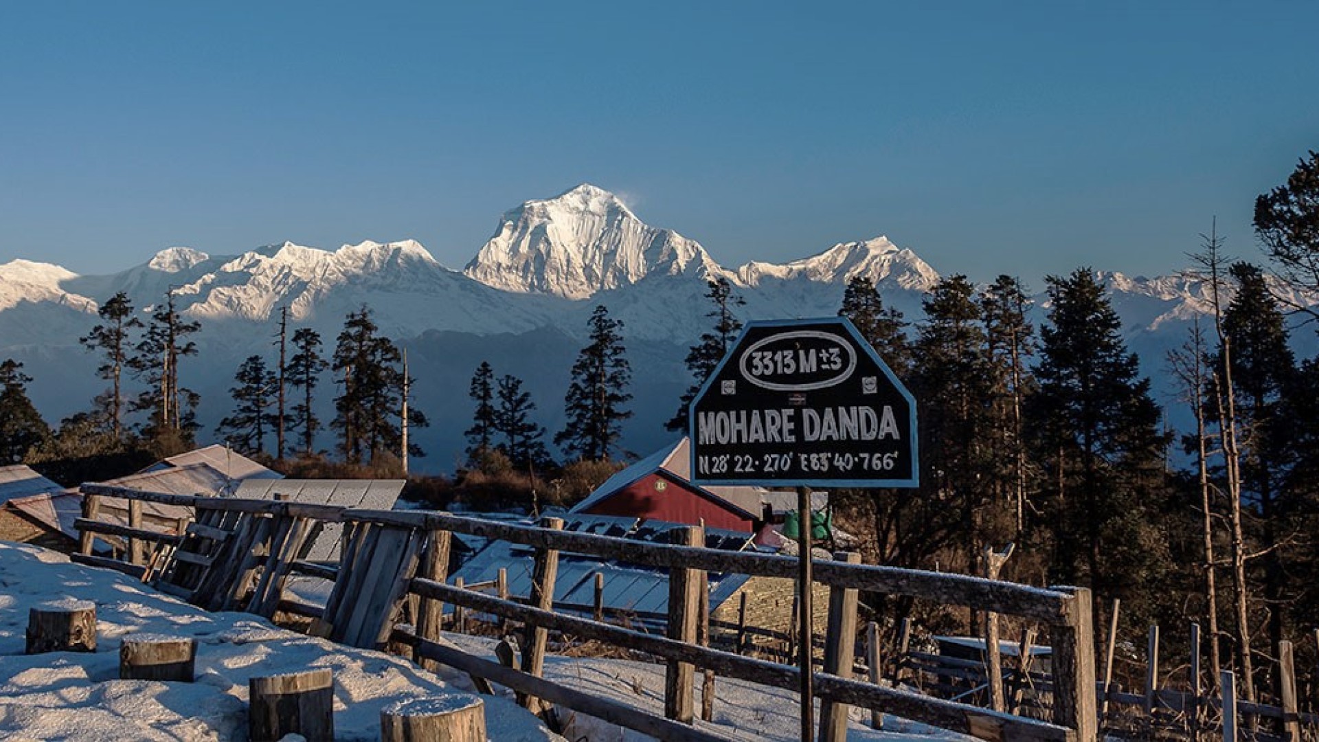 Mohare 3300m (Danda) Hill Trek