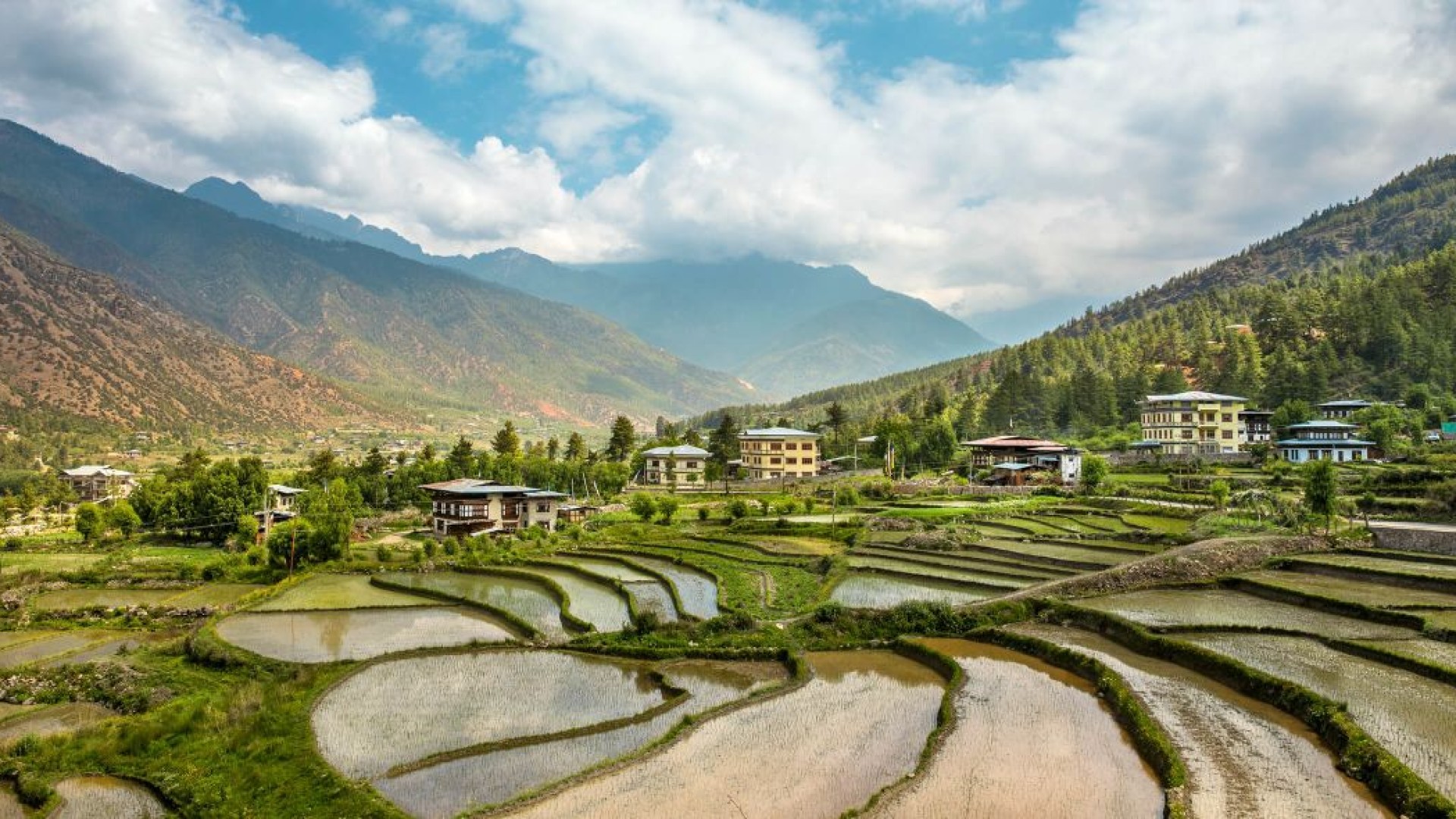 Bumdrak Trek in Bhutan