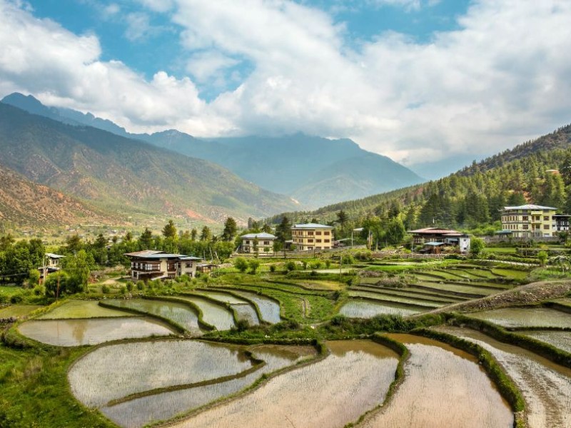 Bumdrak Trek in Bhutan