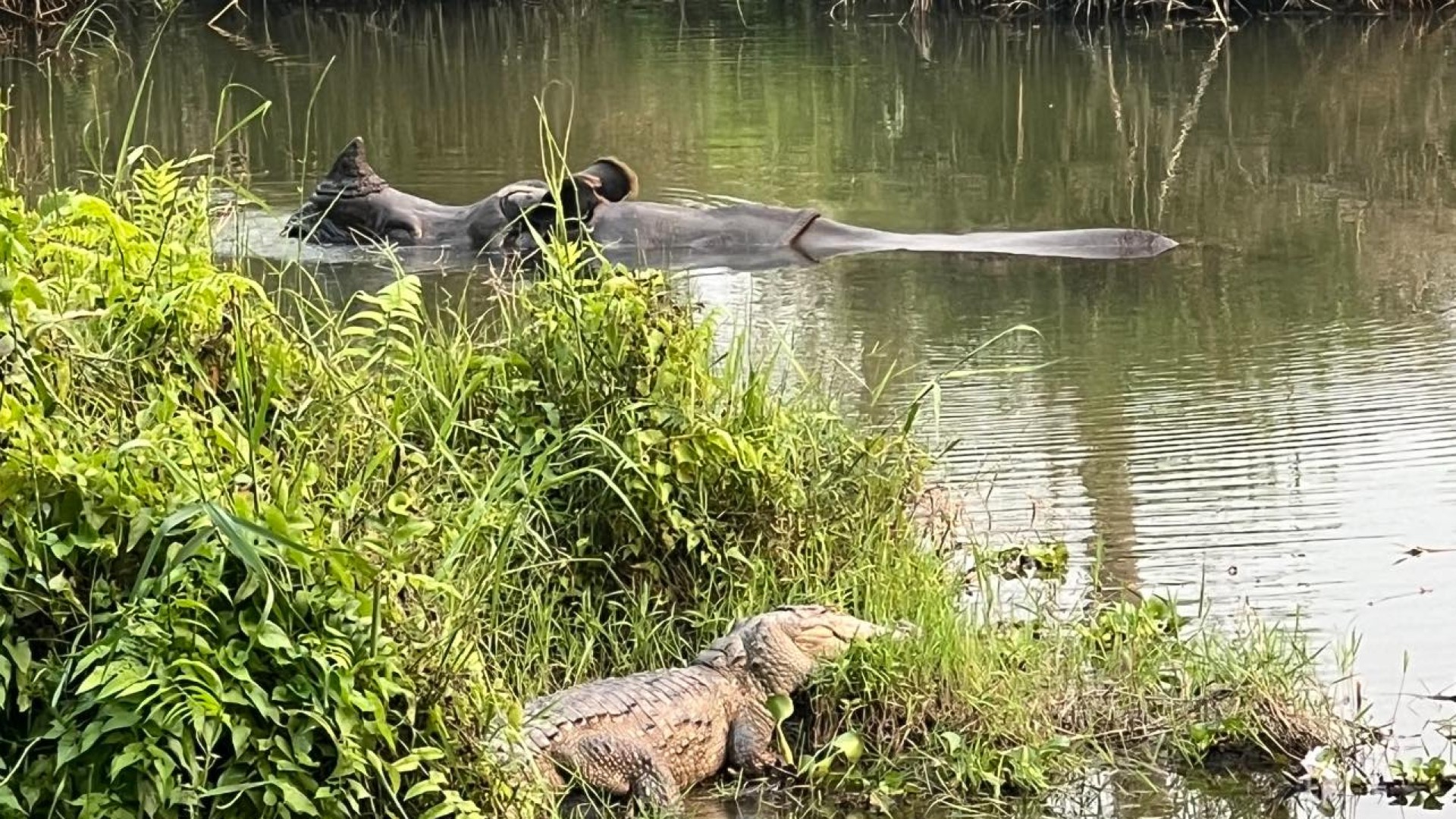 Nature And Wildlife
