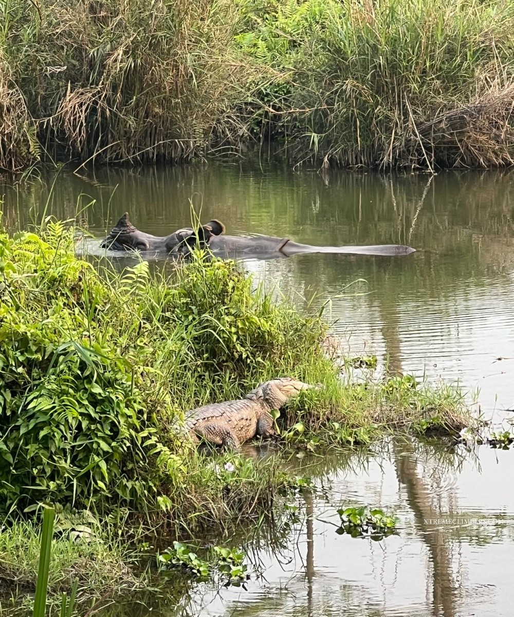 Nature And Wildlife